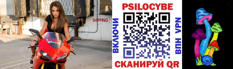 Псилоцибиновые грибы Cubensis  KRAKEN   Сарапул 